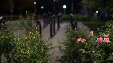 Flower bush and bike poles Stock Footage