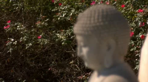 Flower Bush Rack Focus to Oriental Statue (1080-24FPS).mp4 Stock Footage 10975611