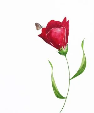 Flower with butterfly Stock Illustration