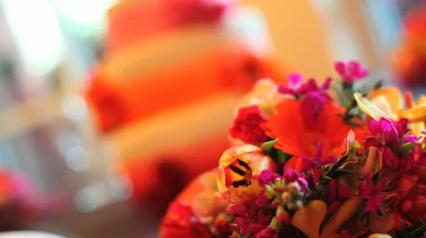 Flower Cake Wedding Focus Pull Stock Footage 20568291
