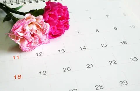Flower on calendar Stock Photos