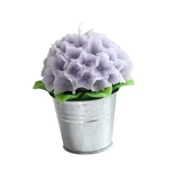Flower candle Stock-Fotos