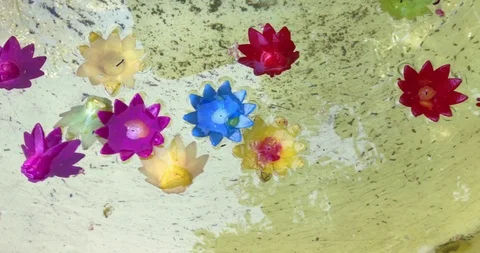 Flower candles float on water. Stock Footage 113767585