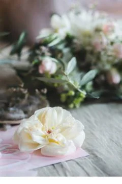Flower on the card 39 Stock Photos