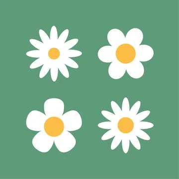 Flower chamomile vector icon. Cartoon camomile white retro spring floral icon Stock Illustration