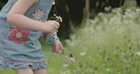 Flower child picking wildflowers Stock Footage 142120153