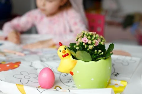 Flower on a children's table Foto stock