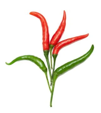 Flower from chilli pepper Stock Photos
