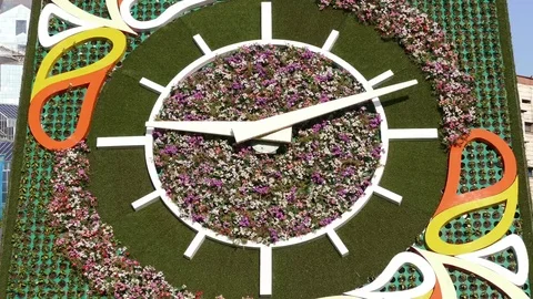 Flower Clock Almaty Time Lapse 4K Stock Footage 69078634