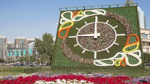 Flower Clock Almaty Zoom Time Lapse 4K Stock Footage 69078494