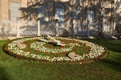 Flower clock Stock Photos