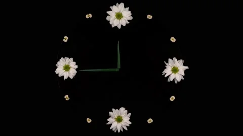 Flower Clock Repeating Footage Stock Footage 147418209