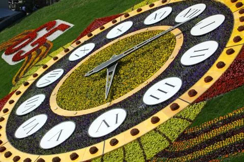 Flower clocks Stock Photos