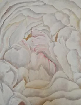 Flower close-up in full format,background.spring and summer fragrant peony Stock Illustration