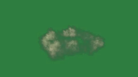 Flower on cloud floating in the air is isolated on green screen background Stock Footage 336955501