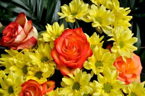 Flower cluster Stock Photos