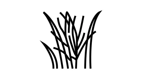 Flower coconut coco line icon animation Stock Footage 224923544