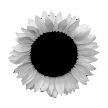 Flower collage. Design element in trendy dotted pop art style. Retro halfto.. 스톡 일러스트