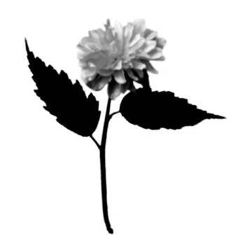 Flower collage. Design element in trendy dotted pop art style. Retro halfto.. 스톡 일러스트