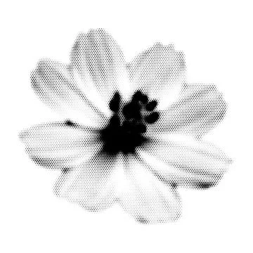 Flower collage. Design element in trendy dotted pop art style. Retro halfto.. 스톡 일러스트