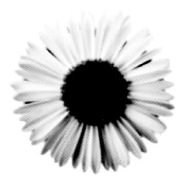 Flower collage. Design element in trendy dotted pop art style. Retro halftone イラスト素材