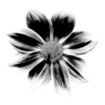 Flower collage. Design element in trendy dotted pop art style. Retro halftone 스톡 일러스트