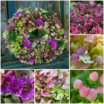 Flower Collage 스톡 사진