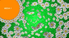 Flower color. 9 placeholders Stock After Effects