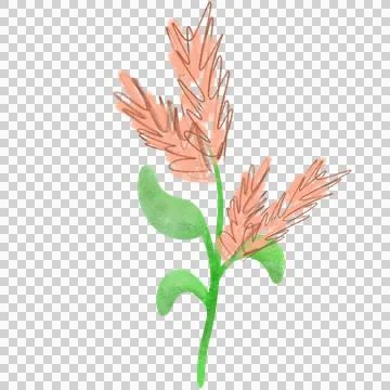 Flower  color and three leaf Stock Illustration