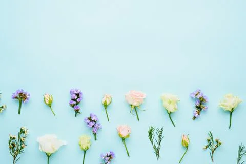 Flower composition on blue background with space for text Stock Photos