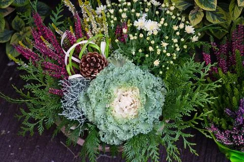 Flower composition consisting of white chrysanthemum, heather and decorativ.. Stock Photos
