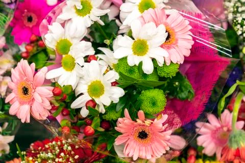 Flower composition from different types of flowers. Stock Photos