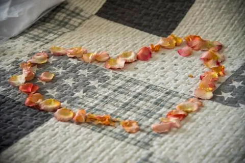 Flower composition: hearth on the bed Stock Photos
