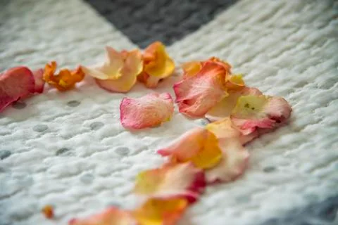 Flower composition: hearth on the bed Stock Photos