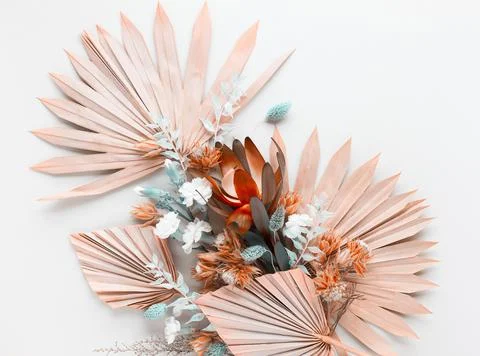 Flower composition made of dried palm leaves and exotic protea on pastel grey Stock Photos
