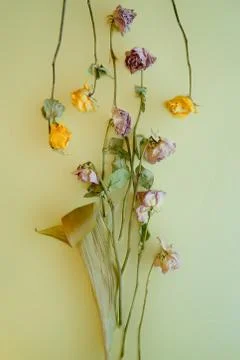 Flower composition. Foto stock