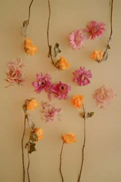 Flower composition. Фото