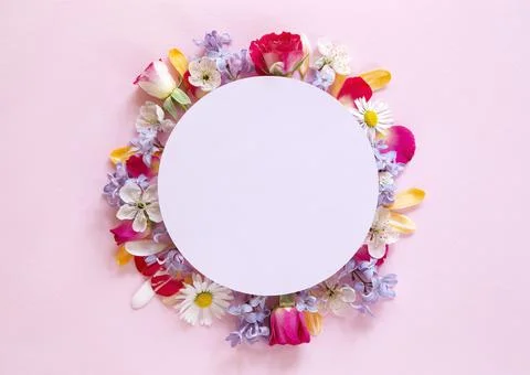 Flower composition Stock Photos