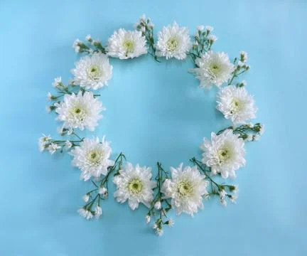 Flower composition round frame wreath Stock Photos