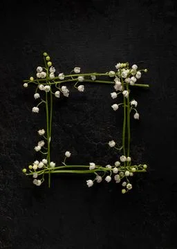Flower composition. square frame of flowers lilies of the valley on a black 写真素材