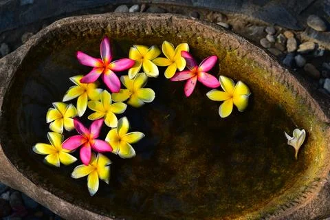 Flower composition. Thailand Stock Photos