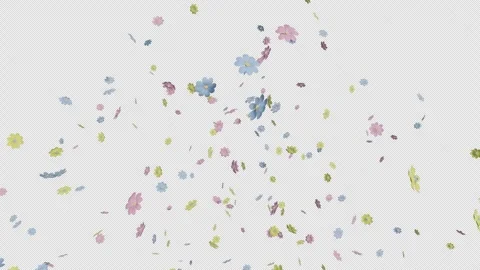Flower Confetti Element Stock-Footage 277804592