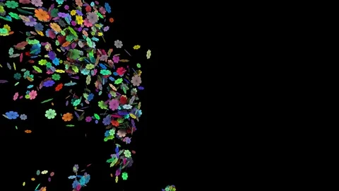 Flower Conffetti explosion from left. Alpha channel Stock Footage 103654336