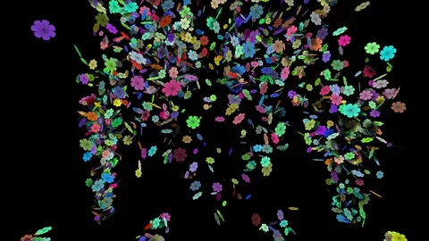 Flower Conffetti explosion from middle to sides alpha Stock Footage 103654344