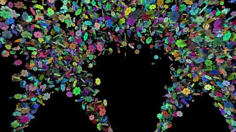 Flower Conffetti from left and right to middle nonstop alpha Stock Footage 103786720