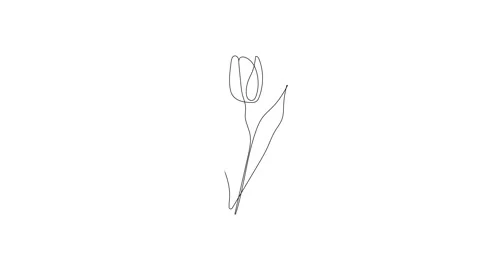Flower continious line drawing. Single line flower drawing. One line Stock Footage 256935332
