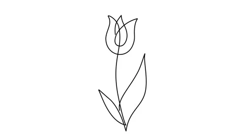 Flower Continuous Line Drawing, Animated Sketch. Stock Footage 239016864