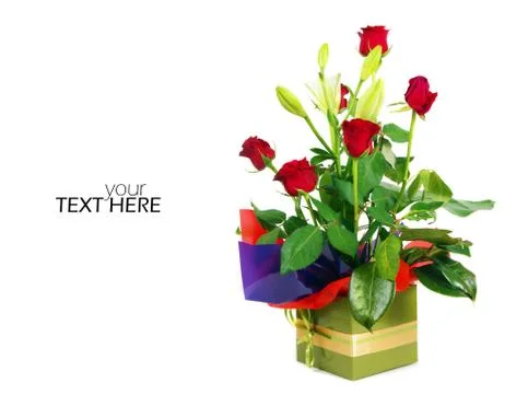 Flower with the copy space Stock Photos