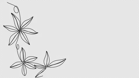 Flower corner frame, one line drawing animation. Video clip with alpha channel. Stock Footage 271738600