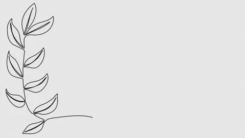 Flower corner frame, one line drawing animation. Video clip with alpha channel. Stock Footage 273609996